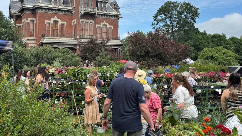 Crafts, antique booths and food took over the Vaile Mansion during the annual Strawberry...