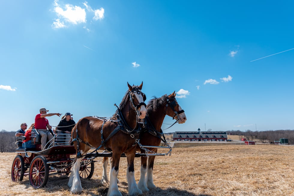 Warm Springs Ranch is set to open the facility to tours for the 2025 season on March 22, 2025.
