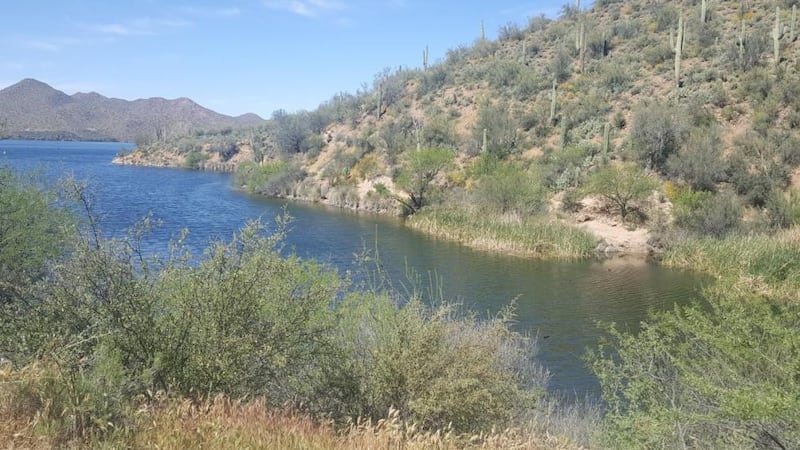 Tonto National Forest ranked #8 on highest rated things to do in Arizona.