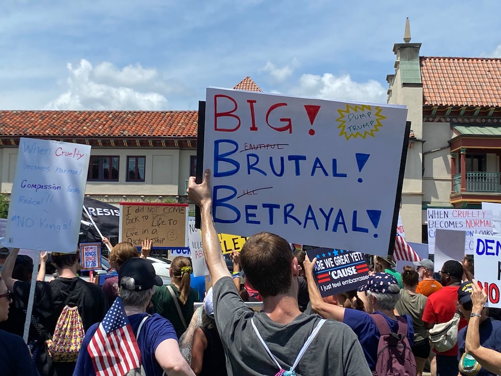 This is a photo from the "No Kings Day" protest at Mill Creek Park in Kansas City.