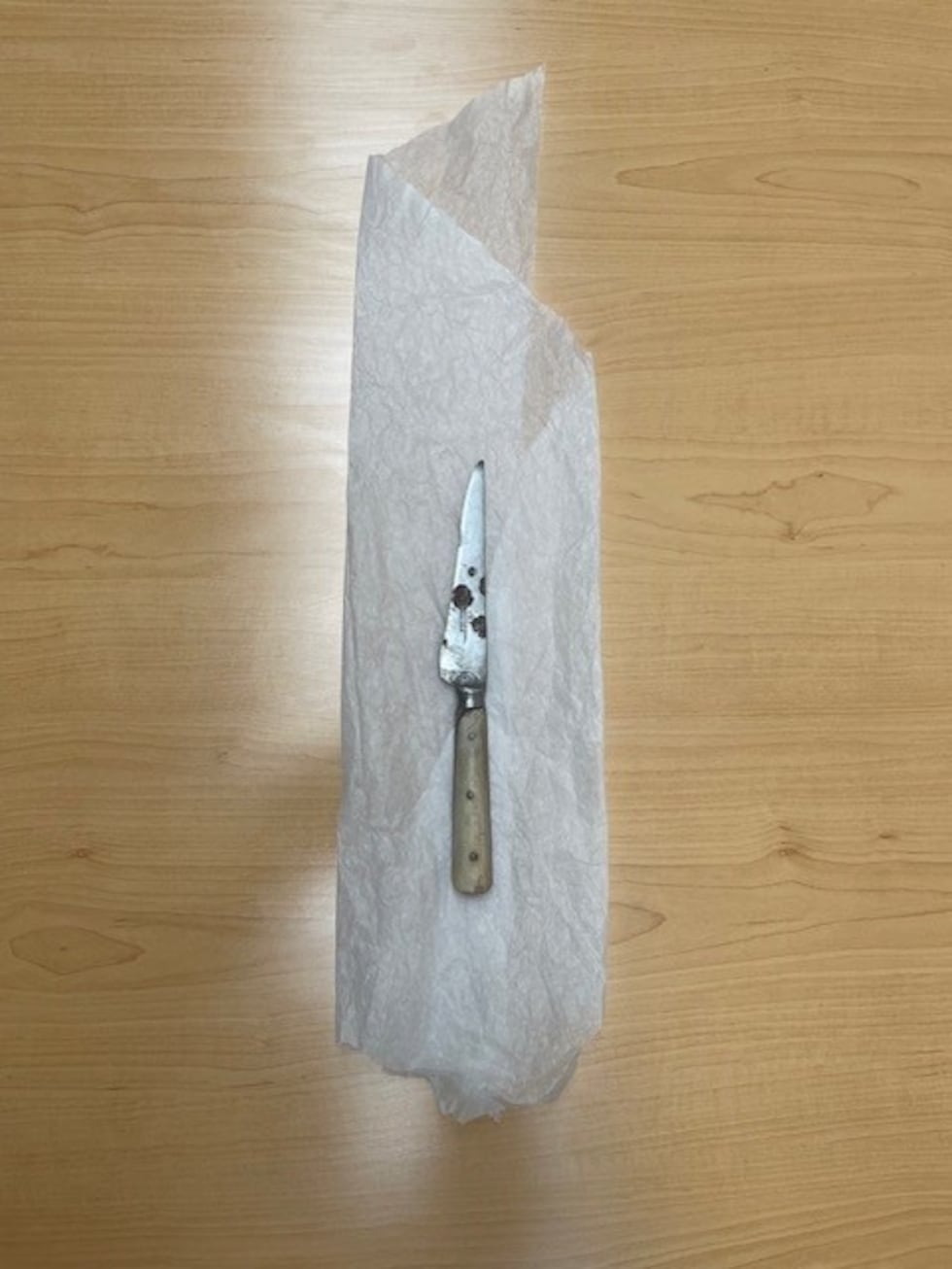 Knife found inside the Benders cabin. It's in the care of the Kansas Historical Society.