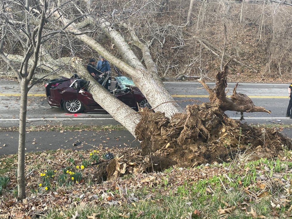 Crews clear the scene of a crash after a tree fell on a moving vehicle and injured the driver...