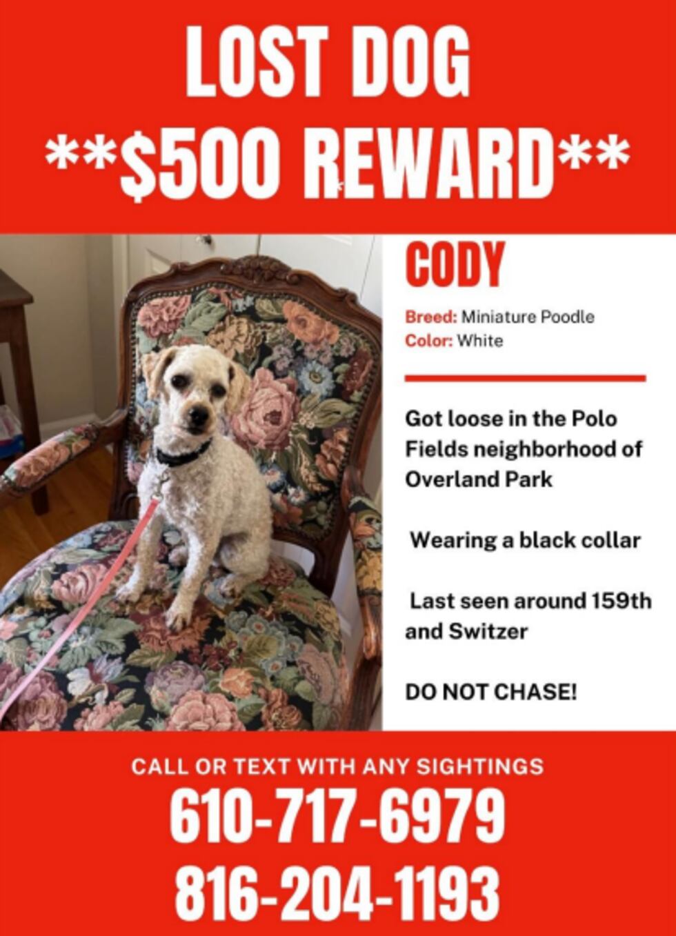 A $500 reward is offered for a missing dog from the Kansas City area on May 2, 2025.