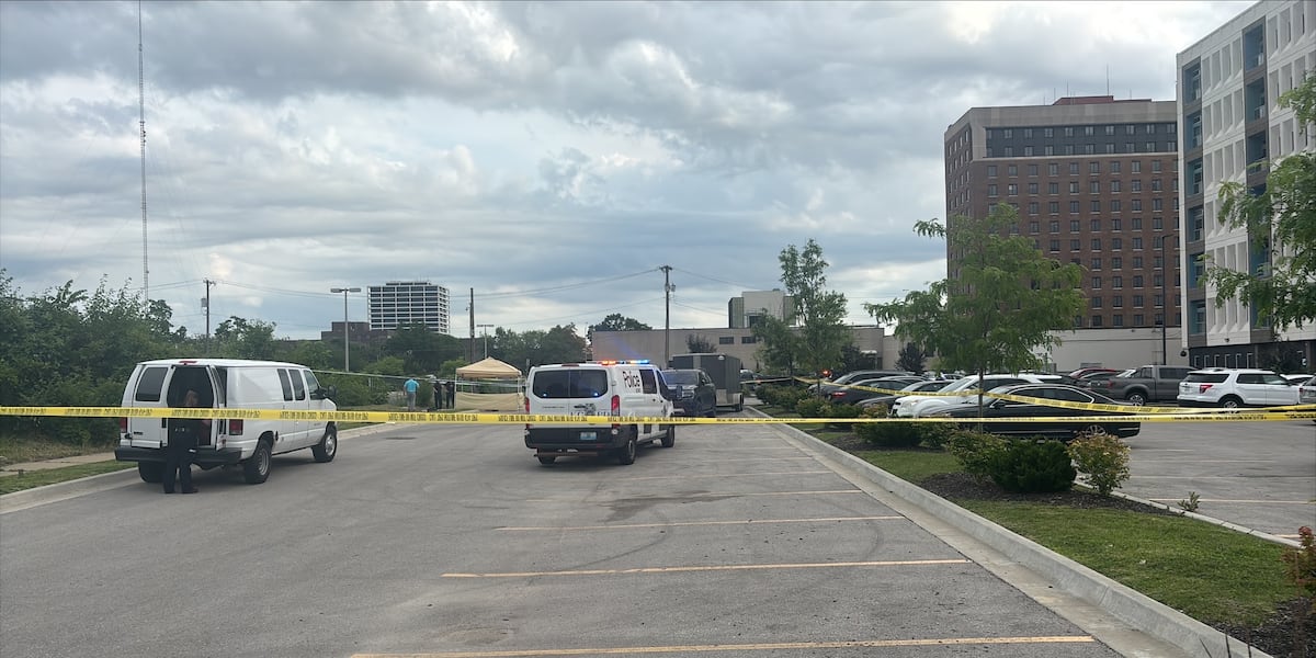 Assault News Image