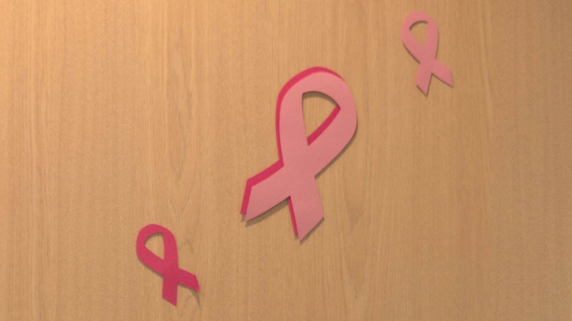 Pink Out Breast Health Event with HCA Midwest Health